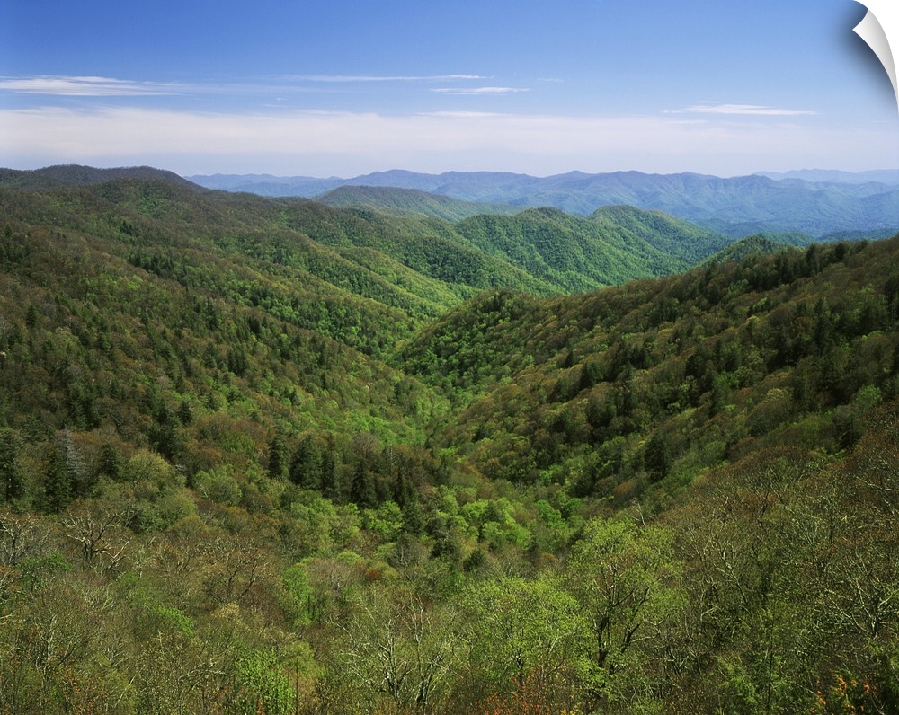 USA, North Carolina, Great Smoky Mountains National Park, Early spring view of Thomas Divide