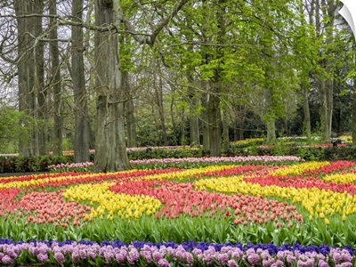 Netherlands, Lisse, Flower Displays At Keukenhof Gardens