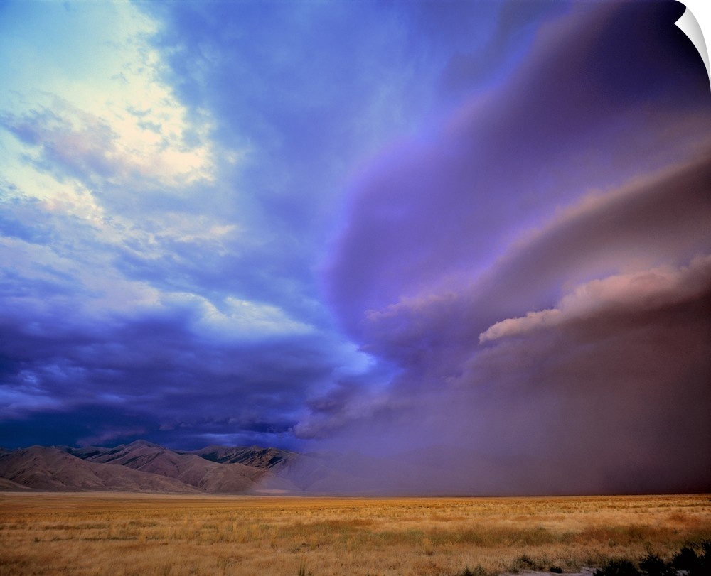 USA, Nevada, Humbolt Co. A storm moves over the Humbolt Country desert in Nevada.