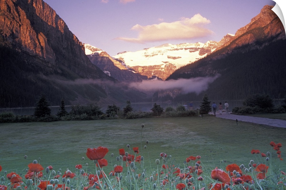 North America, Canada, Alberta, Banff NP, Lake Louise morning and poppies