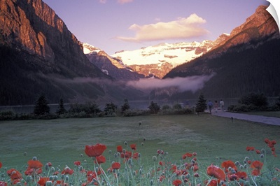North America, Canada, Alberta, Banff, Lake Louise morning and poppies