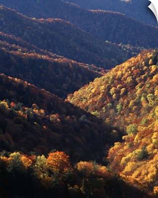 North Carolina, View of Great Smoky Mountains National Park