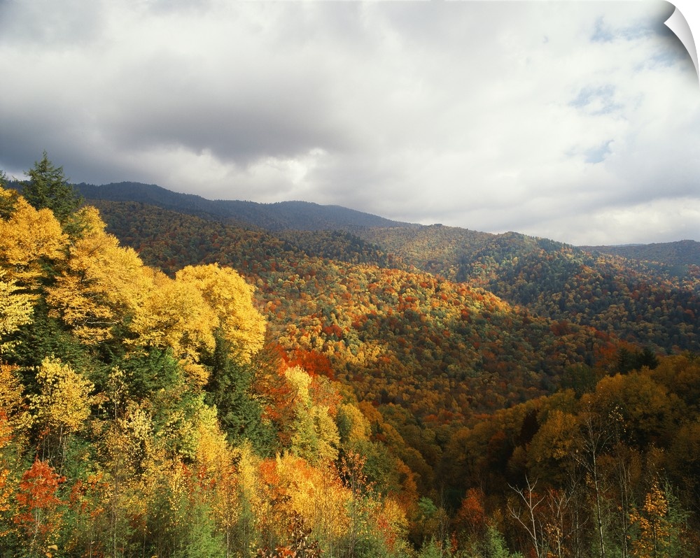 USA, North Carolina, View of Great Smoky Mountains National Park in autumn from Thomas Ridge