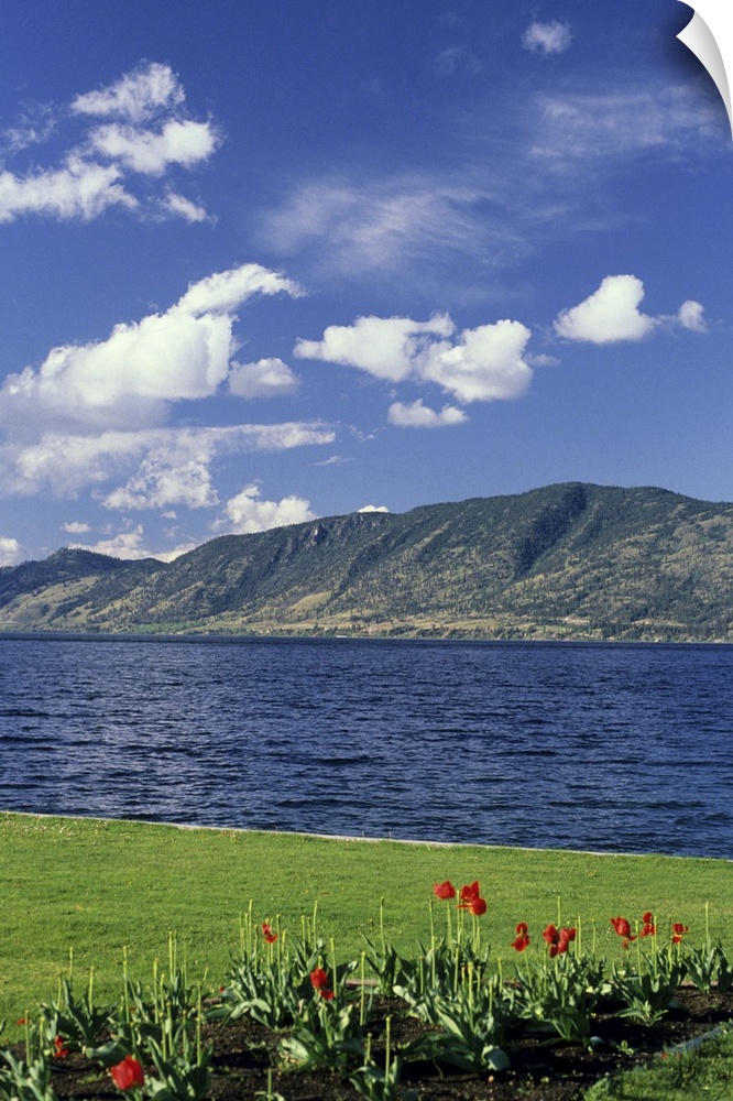 Okanagan Lake near Kelowna, British Columbia...okangan lake, water, kelowna, british columbia, canada, grass, clouds, tuli...