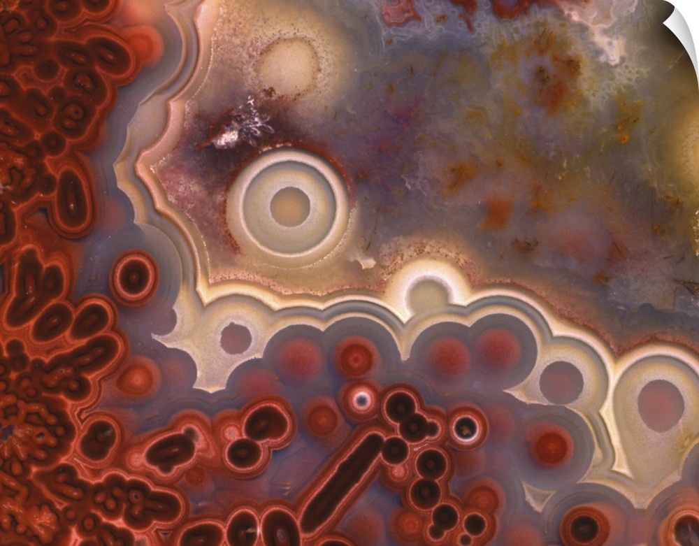 USA, Oregon, Close-up of cross section pattern in Mexican crazy lace agate.