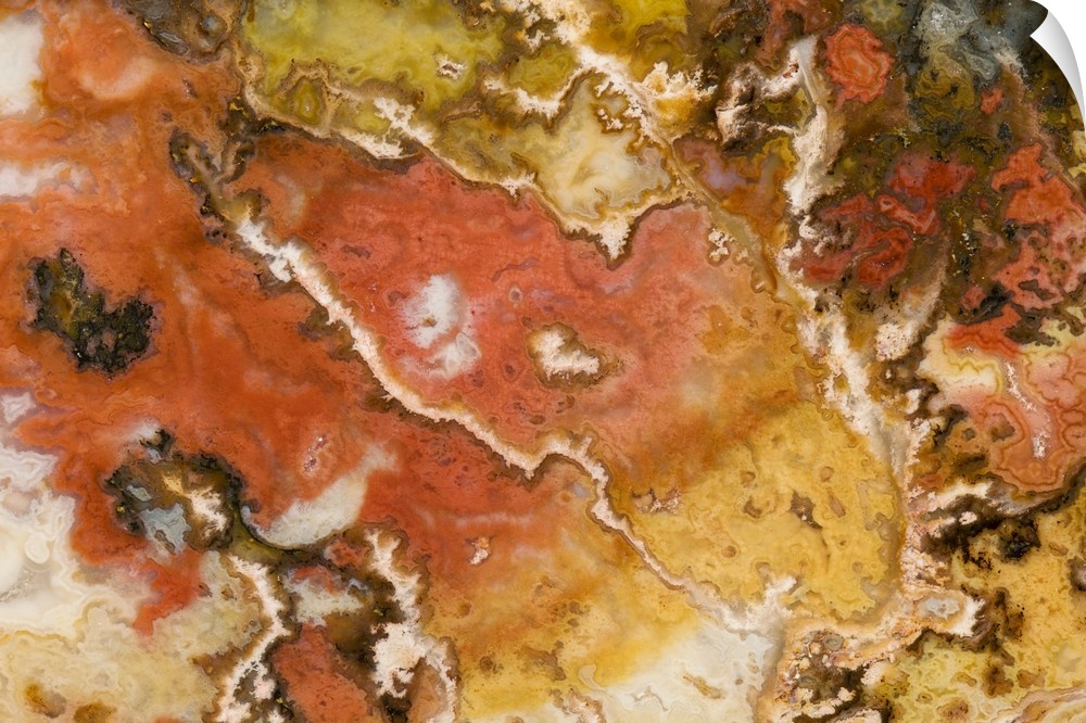 USA, Oregon. Close-up of Graveyard Point Plume Agate stone.