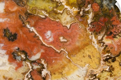 Oregon. Close-up of Graveyard Point Plume Agate stone