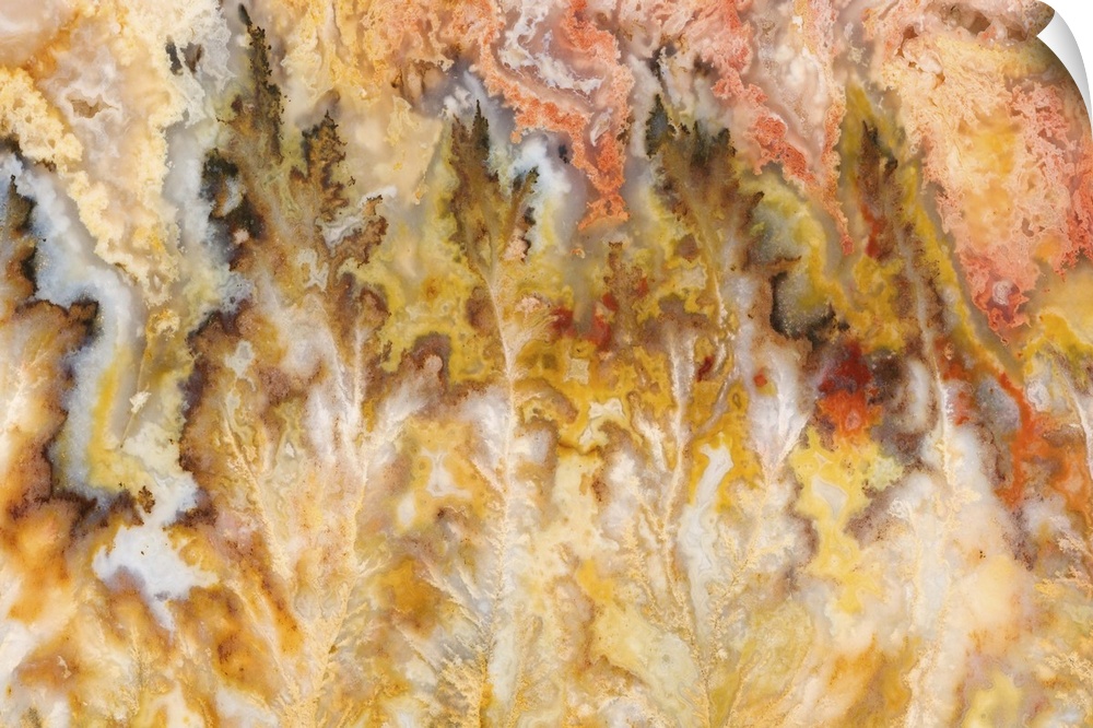 USA, Oregon. Close-up of Graveyard Point Plume Agate stone.
