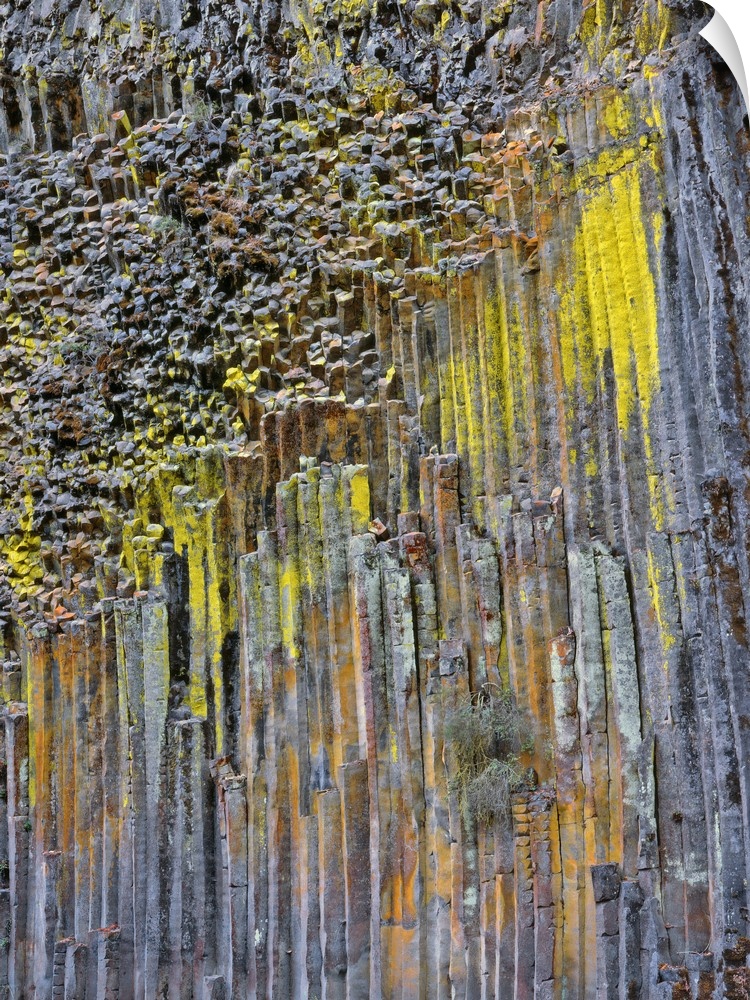 Columnar basalt covered with lichen along North Umpqua River in Douglas County Oregon