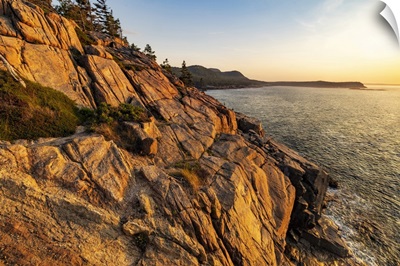 Otter Cliffs At Sunrise In Acadia National Park, Maine, USA