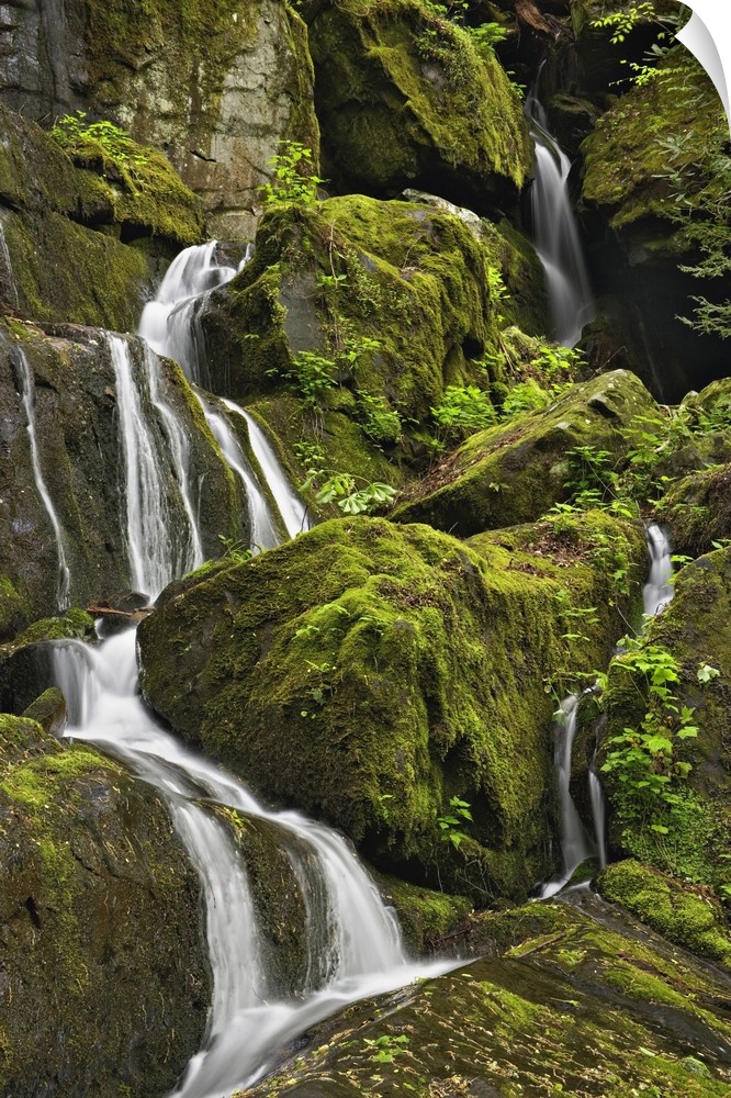 Seasonal cascade, Place of a Thousand Drips, Great Smoky Mountains National Park, Tennessee.