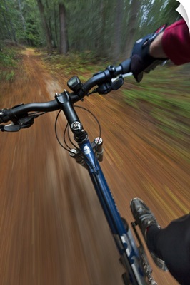 Point of view of single-track riding at the Pig Farm Trails near Whitefish, Montana