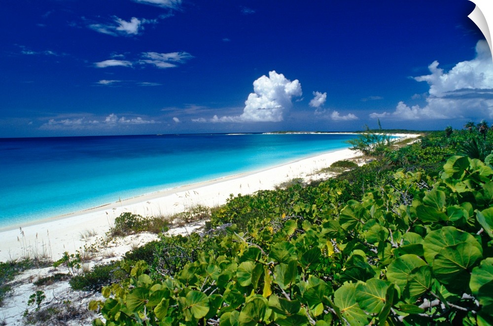 Pristine beach on Conception Island, Long Island, Bahamas.