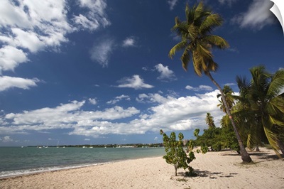 Puerto Rico, West Coast, Boqueron, Balneario Boqueron beach