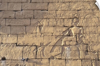 Relief depiction of Ramses II, Temple of Luxor, Egypt