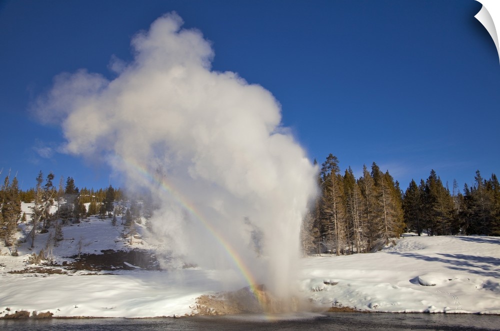 Riverside Geyser erupts along the Firehole River on a nice sunny winter day in Yellowstone National Park.