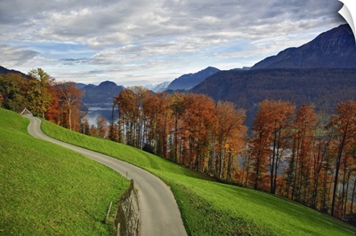 Rural Road And Autumn Foliage Along Lake, Near Lucerne, Switzerland