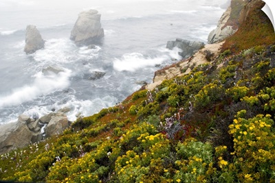 Sea stacks and wildflowers, California
