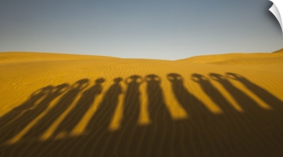 Shadows Of Waterbearers, Thar Desert, India