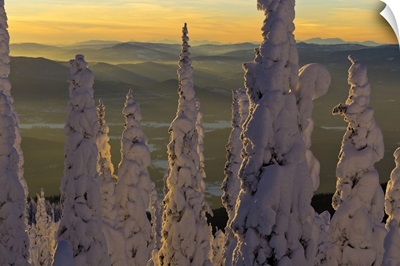 Snow ghosts at sunset looking west to the Salish Mountains, Montana