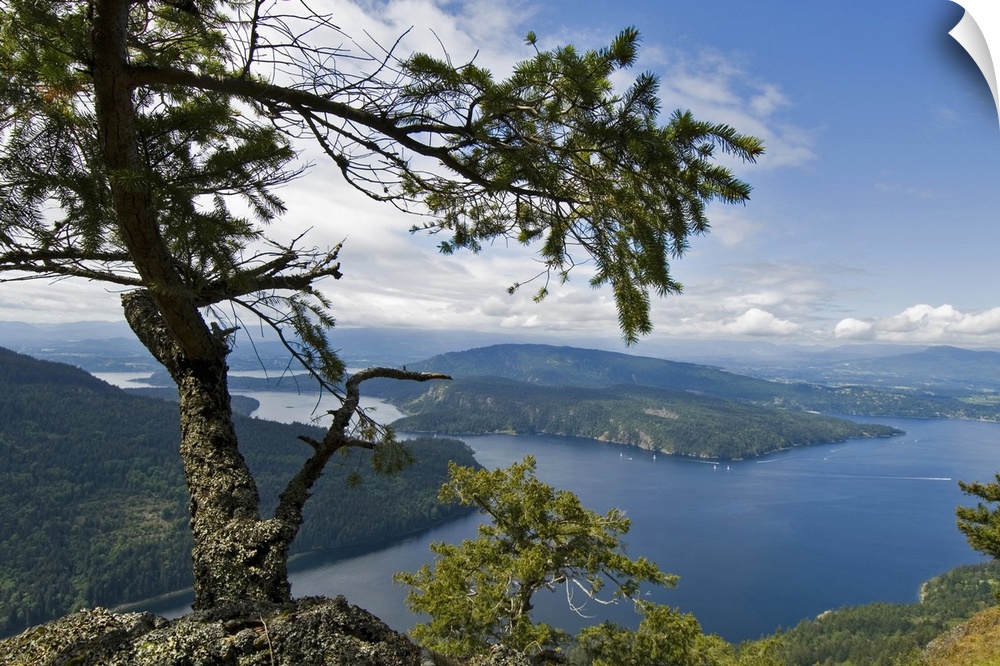 View of the Strait of Georgia from Mount Maxwell, Mount Maxwell Provincial Park, Salt Spring Island, Gulf Islands, British...