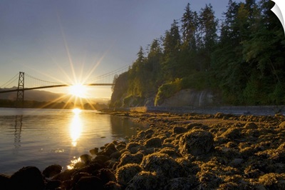 Sun rising behind Lions Gate Bridge, Stanley Park, British Columbia