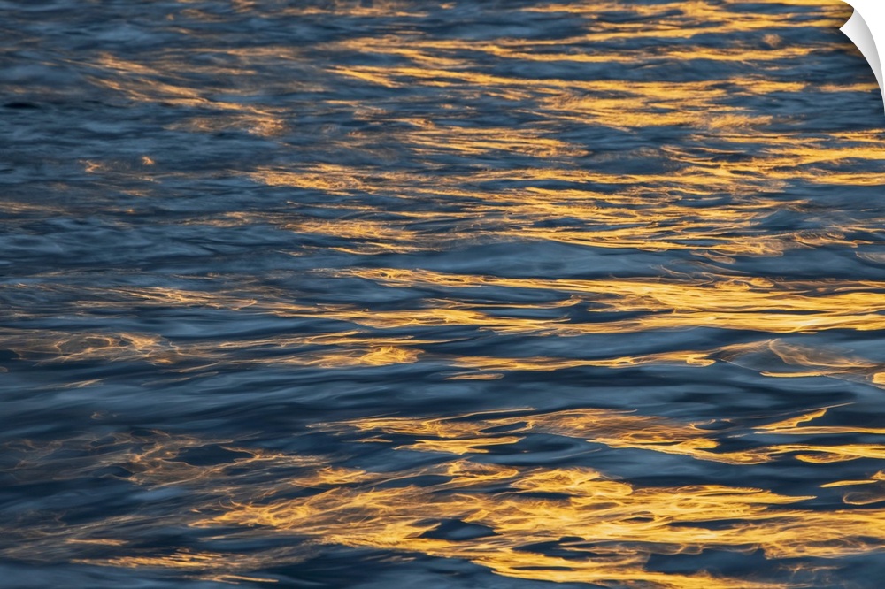 Sunset light on waters off Santa Cruz Island, Galapagos Islands, Ecuador. South America, Ecuador.