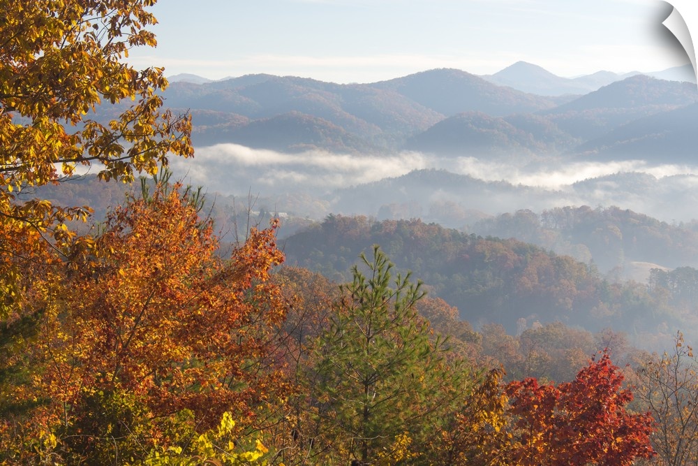 US, TN. Morning light Fog in valleys Smoky Mountain NP viewed from Foothills Parkway