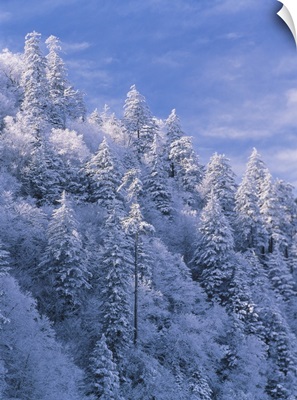 Tennessee, Newfound Gap, mountain slope covered with snow