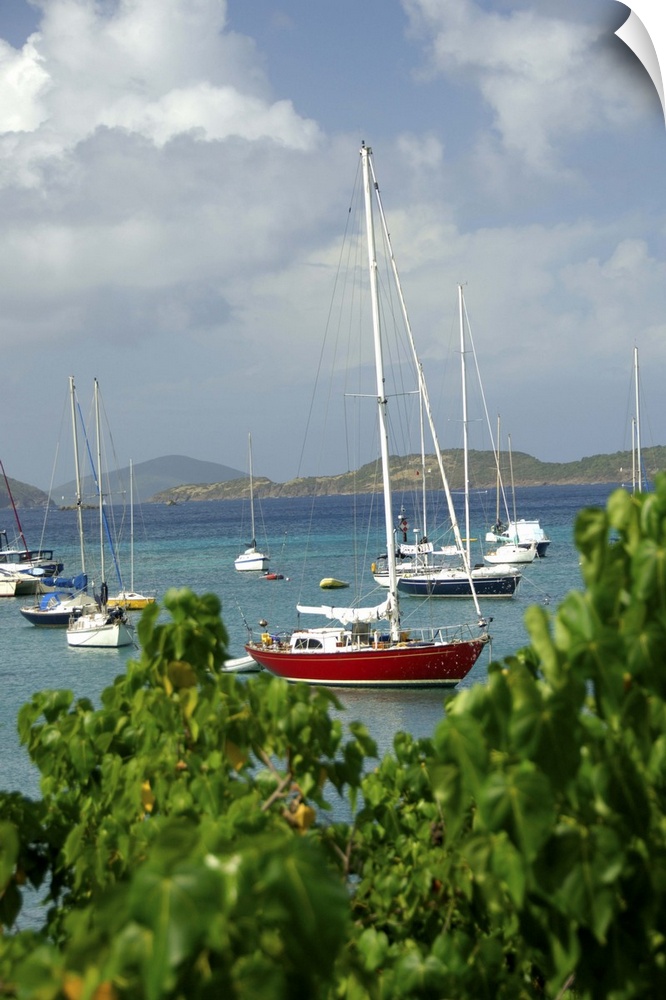 Caribbean, U.S. Virgin Islands, St. John, Cruz Bay. Boats in the harbor at Cruz Bay.
