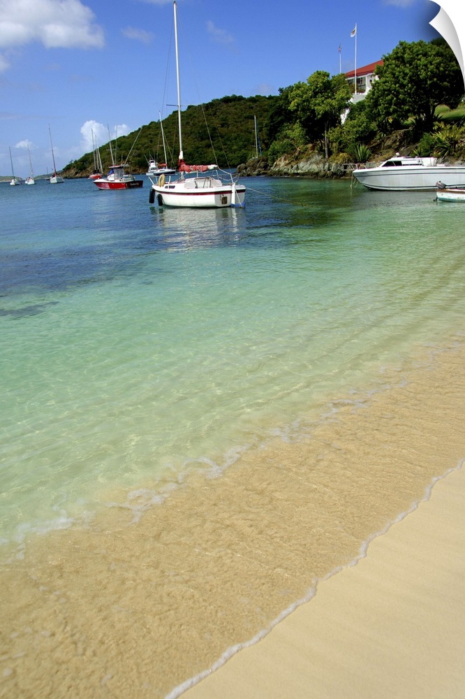 Caribbean, U.S. Virgin Islands, St. John, Cruz Bay. Sailboats in Cruz Bay harbor.