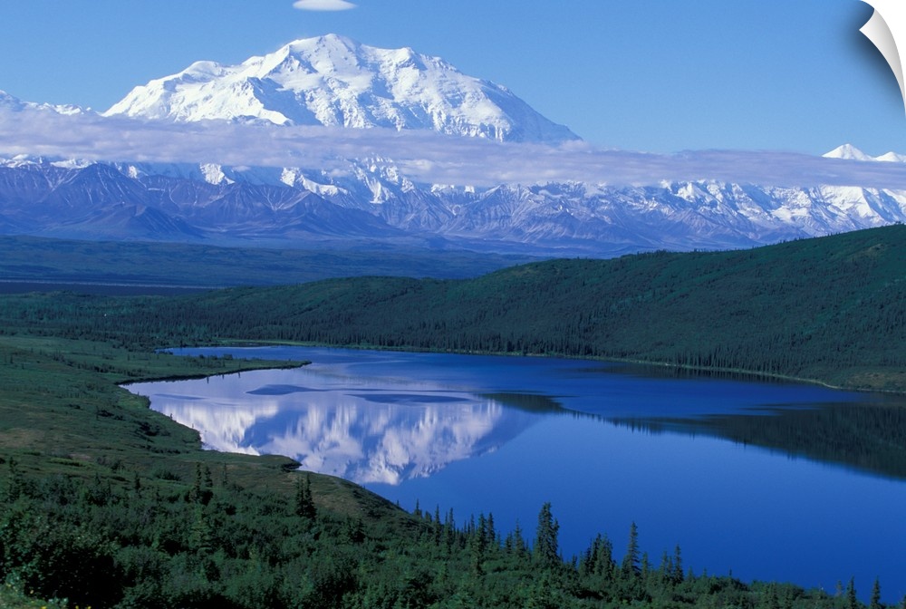 USA, Alaska, Denali National Park. Mt. McKinley (Denali, 20,320 feet), the tallest peak in North America, reflected in Won...