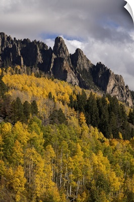 USA, Colorado, Uncompahgre National Forest, Mountain And Forest In Autumn