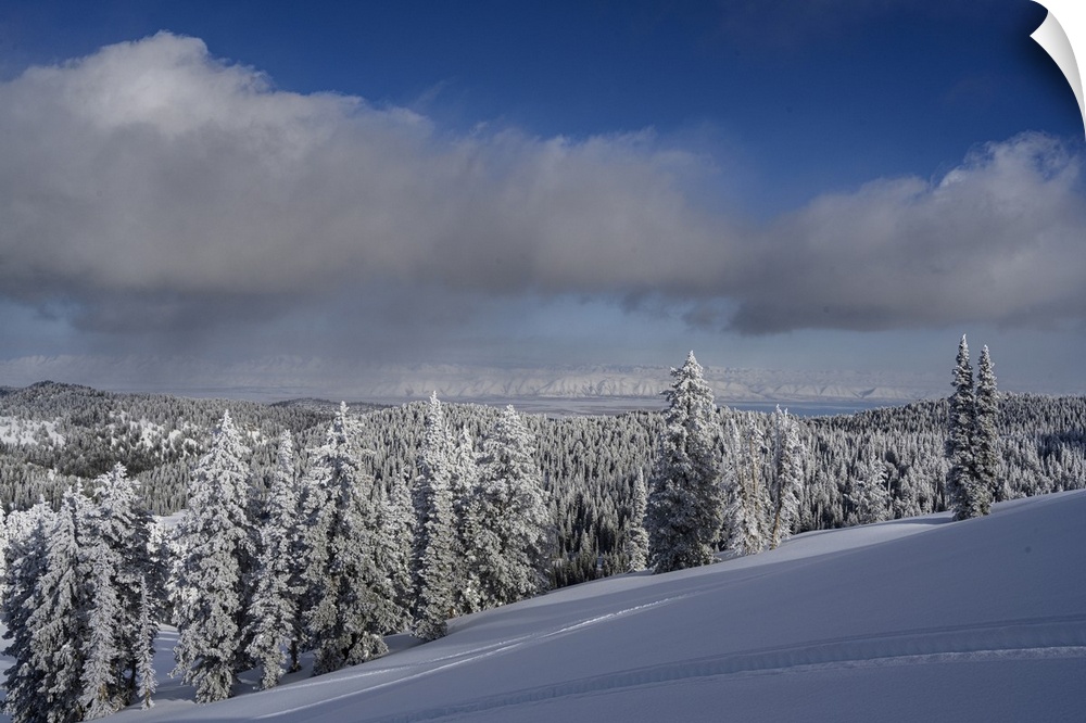 USA, Idaho. Winter landscape near Bear Lake.