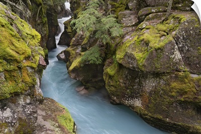 USA, Montana, Glacier National Park, Glacial Silt In Avalanche Creek Flows Through Gorge