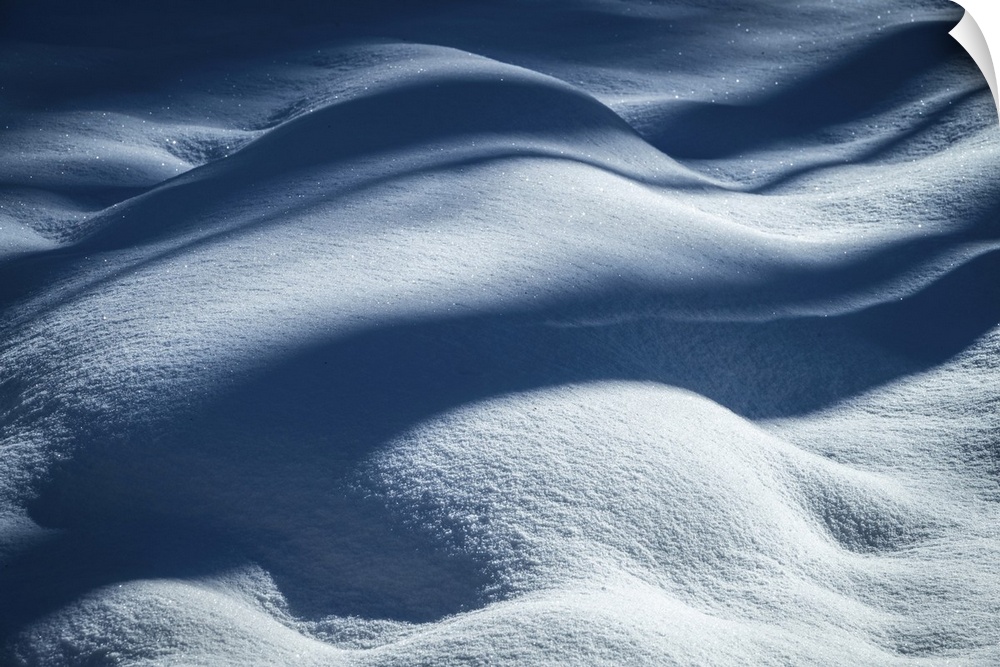 USA, New Jersey, Pine Barrens National Preserve. Shadow patterns on fresh snow. United States, New Jersey.
