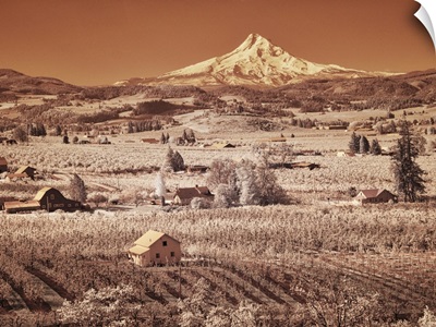USA, Oregon, Columbia Gorge, Infrared Of Spring Orchards In Bloom And Mount Hood