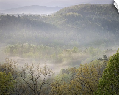 USA, Tennessee, Smokey Mountains National Park, Sunrise Mist On Mountain Forest