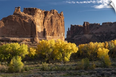 USA, Utah, Autumn Cottonwoods And The Three Gossips At Sunset, Arches National Park