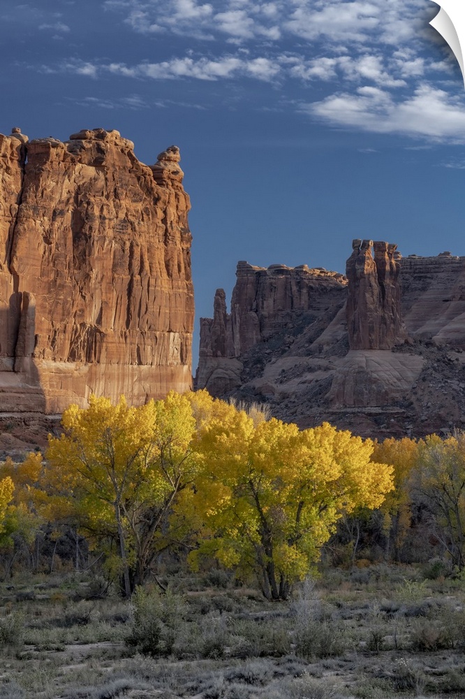 USA, Utah. Autumn cottonwoods and the Three Gossips at sunset, Arches National Park.