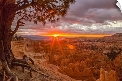 USA, Utah, Bryce Canyon National Park, Sunrise On Canyon