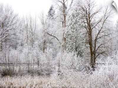 USA, Washington State, Cle Elum, Kittitas County, Winter Along The Yakima River