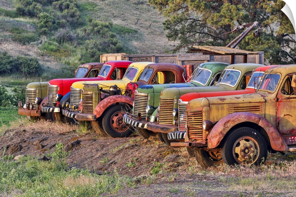 USA, Washington State, Palouse, Antique Trucks