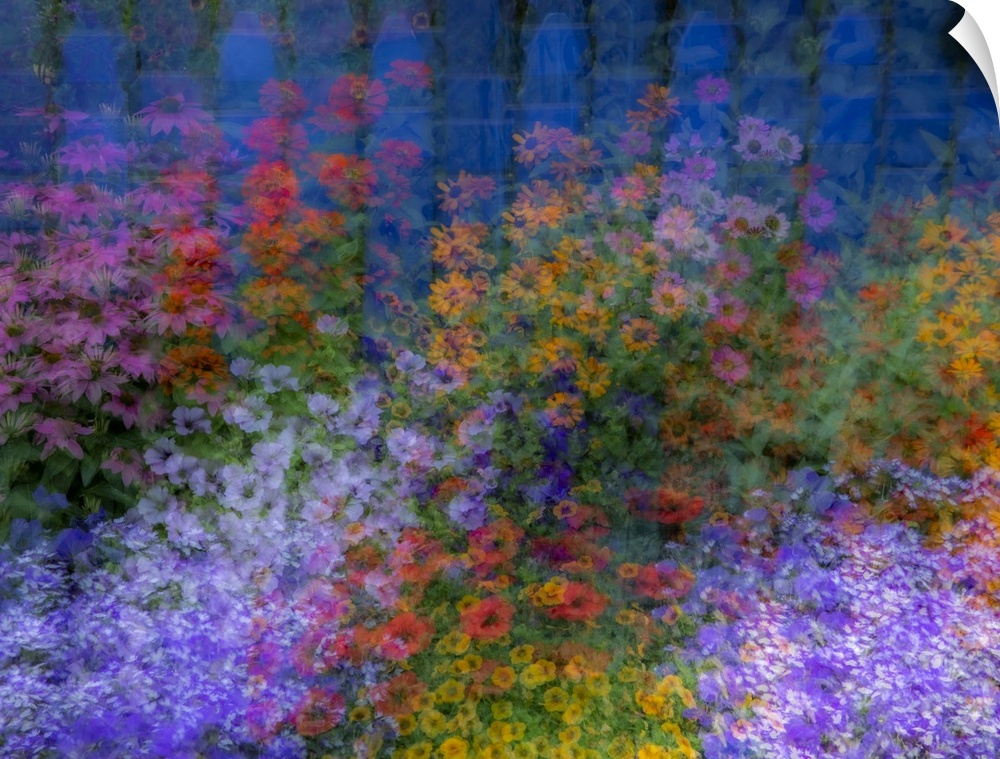 USA, Washington State, Pacific Northwest, Sammamish colorful flowers and blue picket fence multi exposures. United States,...