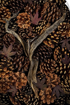 USA, Washington State, Seabeck, Pine Cones And Fall Leaves