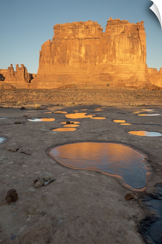 North America, USA, Utah, Arches National Park.  Reflected light  from the Organ in icy pot holes, Arches National Park, UT