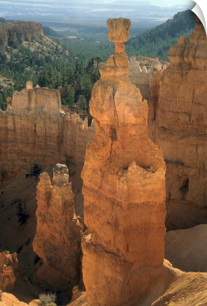 USA, Utah, Bryce Canyon National Park, detail of "Hoodoos", eroded lake sediments.