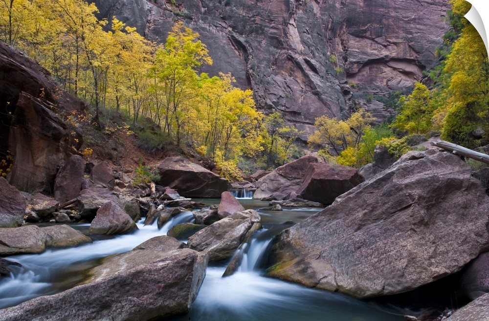 USA, Utah, Zion National Park. Waterfall with cottonwood trees along Riverside Walk in The Narrows.