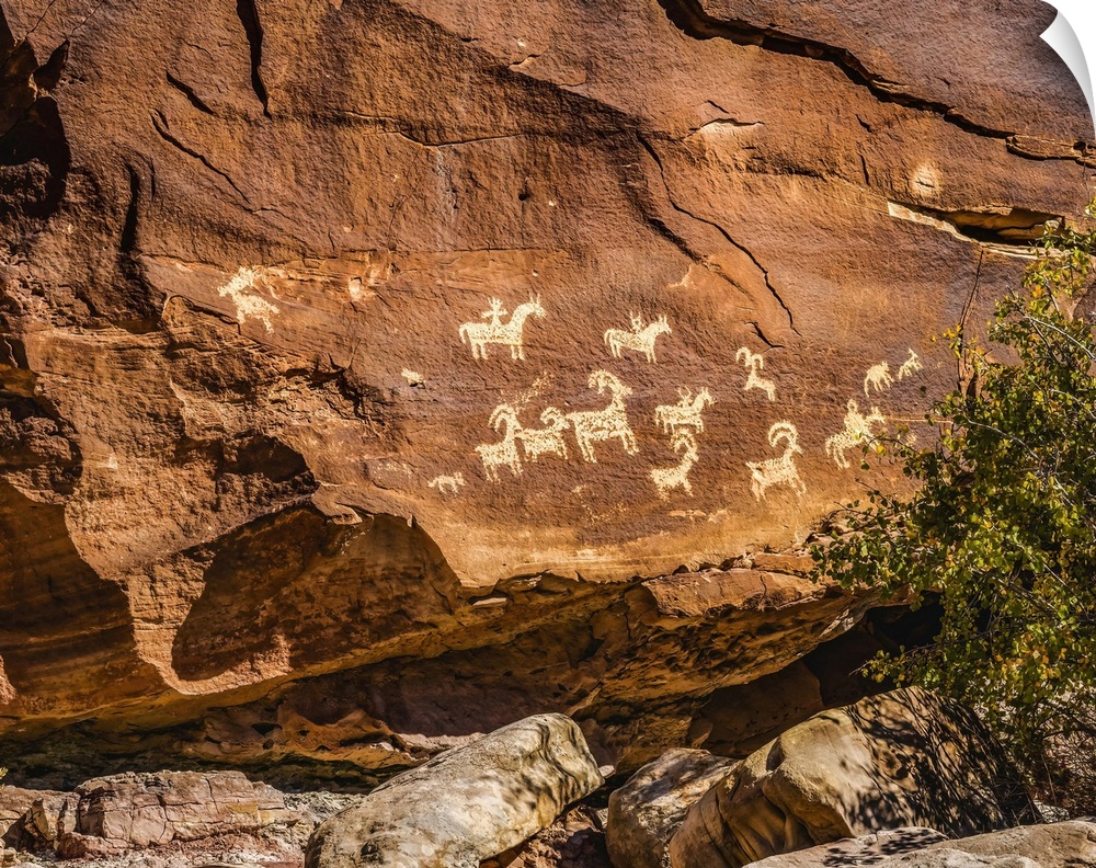 Ute Indian petroglyphs, Arches National Park, Moab, Utah, USA. Created 1650 to 1850 AD glyphs are of sheep, horses and dogs.