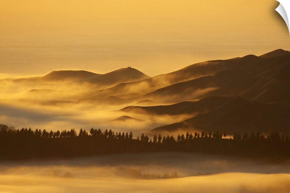 View from Te Mata Peak and Early Light on Morning Mist, Hawkes Bay, North Island, New Zealand